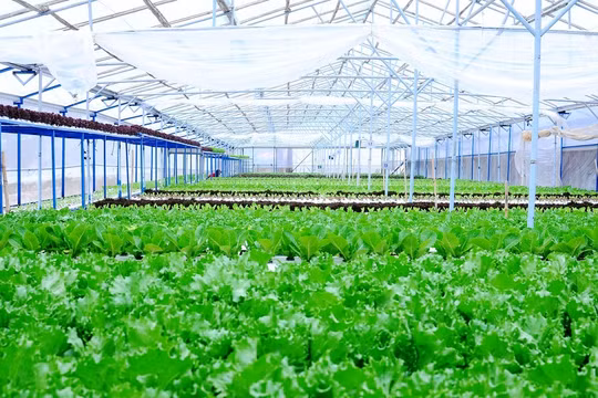 Thời công nghệ số, nông dân phải là doanh nghiệp