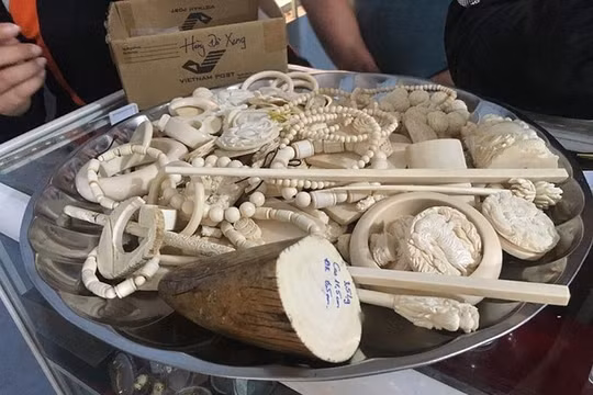 Hải quan phát hiện, bắt giữ 4.039 vụ vi phạm trong quý I/2019