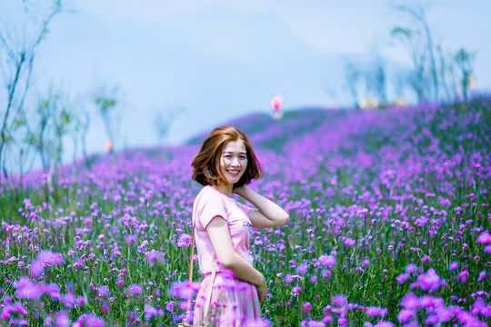 Cả đồi hoa tím đẹp ngỡ ngàng ở Fansipan, cần gì đi châu Âu ngắm lavender?
