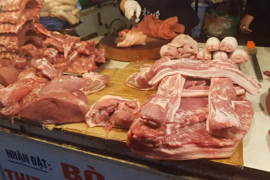 Hà Nội: Dịch tả Châu Phi có chiều hướng lây lan nhanh, phạm vi rộng, quy mô chăn nuôi lớn