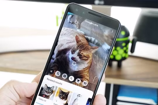 Ứng dụng Google Lens được bổ sung thêm nhiều bộ lọc mới