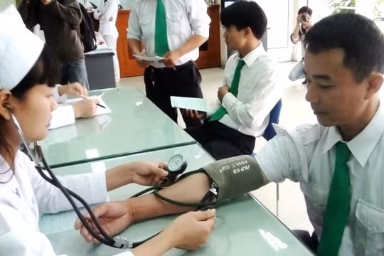 Ngừng cấp, đổi giấy phép kinh doanh đối với doanh nghiệp không khám sức khỏe cho lái xe