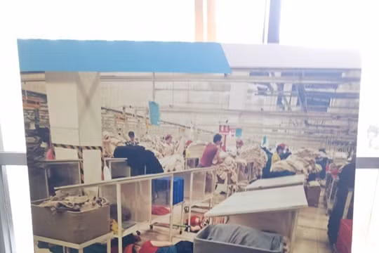 Thu nhập lao động ngành may Việt Nam đang không đủ sống