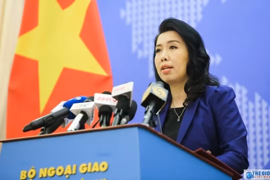 Việt Nam triển khai quyết liệt các giải pháp xây dựng nghề cá bền vững và có trách nhiệm
