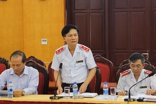 Thanh tra Chính phủ công bố Quyết định thanh tra về việc tăng giá điện