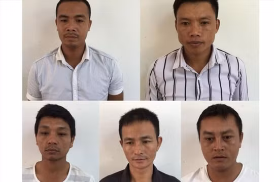 Vụ phá rừng đặc dụng ở Phong Nha - Kẻ Bàng: Khởi tố và bắt tạm giam thêm 6 đối tượng