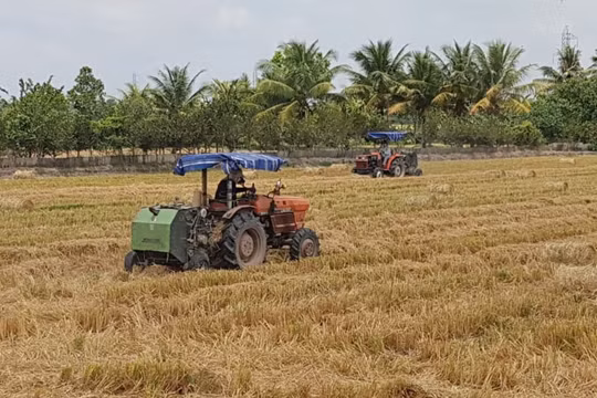 Cà Mau: U Minh vượt khó tạo bức tranh tươi sáng