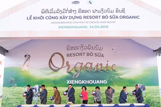 Vinamilk khởi công Tổ hợp “Resort” bò sữa organic tại Lào