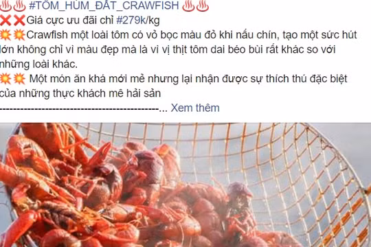 Kiểm tra, làm rõ về tình trạng tôm hùm đất bị cấm vẫn được bày bán