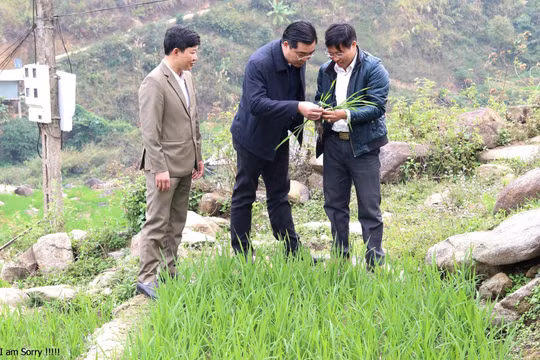 Huyện Mù Cang Chải: Thực hiện chương trình với quyết tâm chính trị và nỗ lực cao nhất