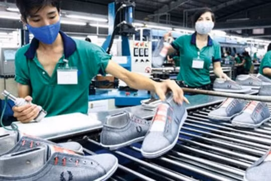 Hệ sinh thái khởi nghiệp đang phát triển mạnh mẽ