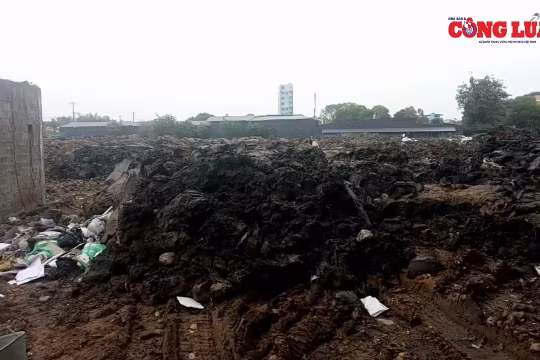 UBND huyện Gia Lâm chỉ đạo làm rõ việc đổ đất thải, đất bẩn vào dự án