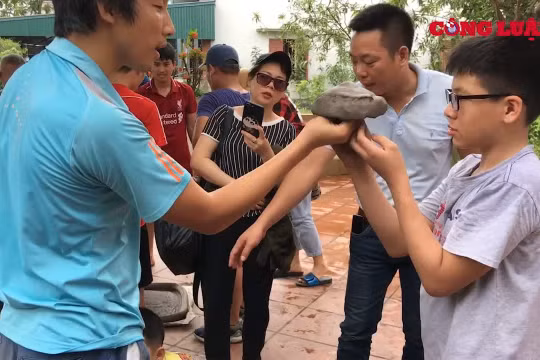 Trải nghiệm nông thôn cho trẻ em thành phố