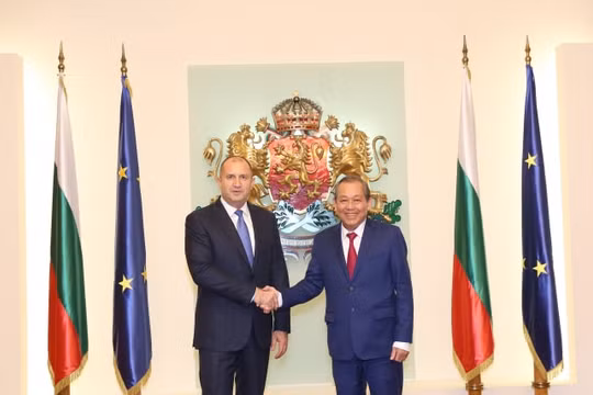 Phó Thủ tướng Trương Hòa Bình hội kiến Tổng thống Bulgaria