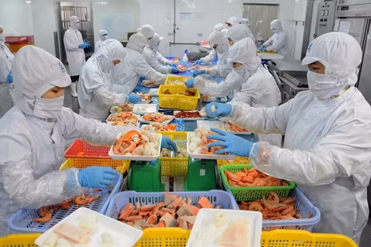 Công nghiệp thực phẩm còn nhiều dư địa thu hút vốn ngoại