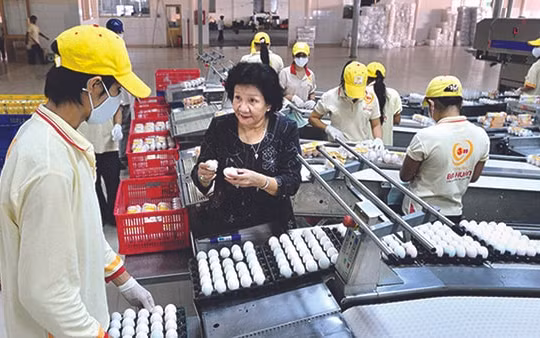 ADB thúc đẩy trao quyền về kinh tế cho phụ nữ