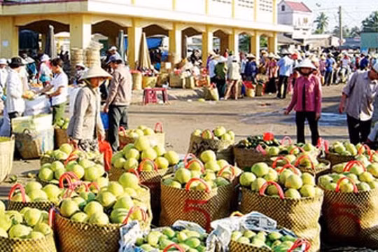 Chặn đà giảm tốc xuất khẩu hàng nông thủy sản sang Trung Quốc