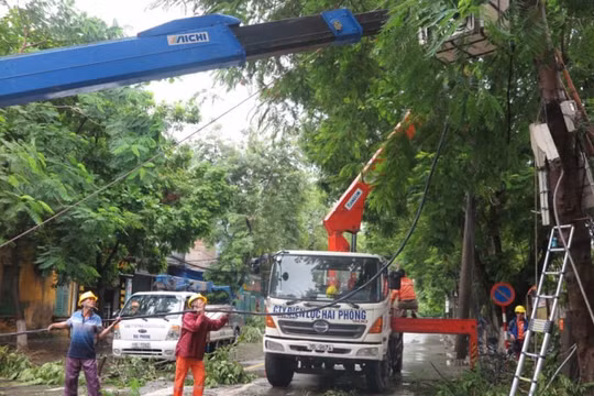 Khẩn trương khắc phục sự cố lưới điện do Bão số 3 gây ra tại các tỉnh miền Bắc