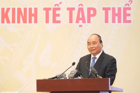 Thủ tướng: Rà soát các chính sách để tạo thuận lợi cho kinh tế tập thể phát triển