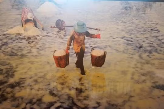 "Đồng muối Cần Giờ" dẫn đầu cuộc thi ảnh "Nét đẹp lao động" 2019