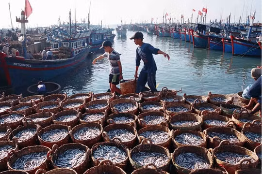 Đầu tư hơn 8.300 tỷ đồng cho dự án phát triển thuỷ sản bền vững