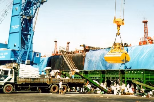 Nghịch lý thức ăn chăn nuôi