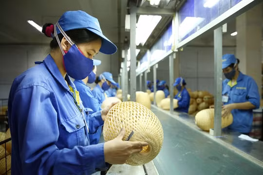 Thúc đẩy và đầu tư vào mô hình kinh doanh hướng tới người thu nhập thấp