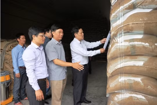 Tổng cục Dự trữ Nhà nước có không quá 4 Phó Tổng cục trưởng