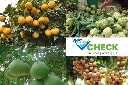 VNPT được vinh doanh ở giải thưởng kinh doanh Châu Á Thái Bình Dương Stevie Awards