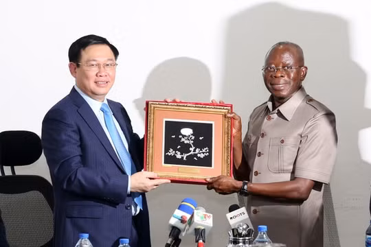 Thúc đấy quan hệ đối tác toàn diện Việt Nam – Nigeria