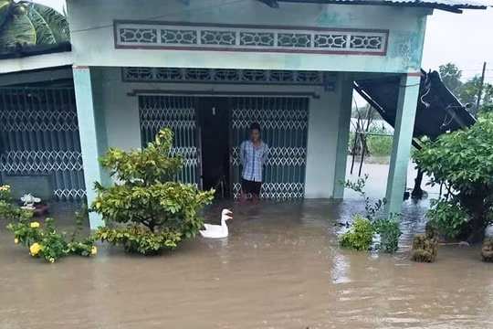 Cà Mau: Hàng trăm căn nhà bị sập, tốc mái và ngập nước do ảnh hưởng bão số 3