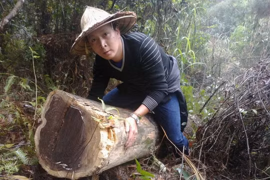 Chiến thuật “khoanh vùng” và đi đến cùng sự việc