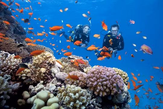 Thám hiểm đại dương tại đảo “thiên đường” Okinawa – Nhật Bản