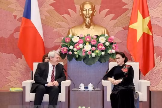 Chủ tịch Quốc hội tiếp Phó Chủ tịch Hạ viện Cộng hoà Czech
