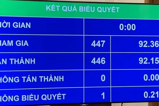 Quốc hội quyết định giám sát tối cao về phòng chống xâm hại trẻ em