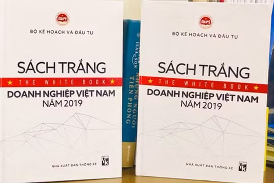 Lần đầu tiên Việt Nam công bố Sách trắng doanh nghiệp năm 2019