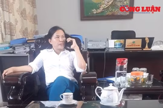 Vụ "xẻ thịt" đất rừng Sóc Sơn: Đề nghị cảnh cáo bà Nguyễn Thị Thu Hằng - Giám đốc Ban Quản lý rừng