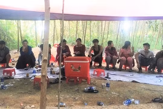 Quảng Nam: Đột kích rừng cao su, bắt quả tang 37 đối tượng đang chơi xóc đĩa