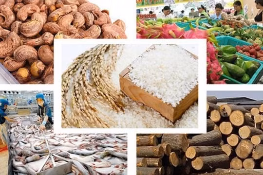 Nông sản Việt cần xử lý nhiều vấn đề kiểm soát chất lượng hàng hóa