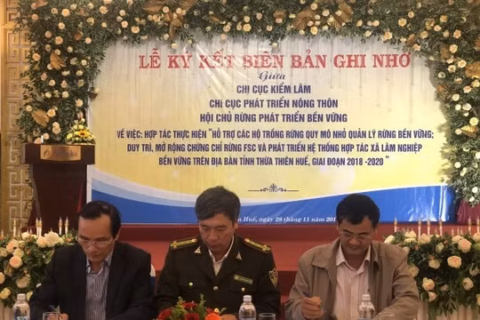 Thừa Thiên Huế đẩy mạnh công tác quản lý rừng bền vững