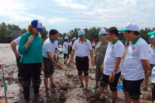 Phát động trồng rừng ngập mặn bảo vệ bãi ven biển