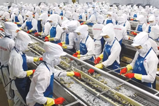 Nhiều điều kiện thuận lợi cho hàng Việt xuất khẩu sang Nga