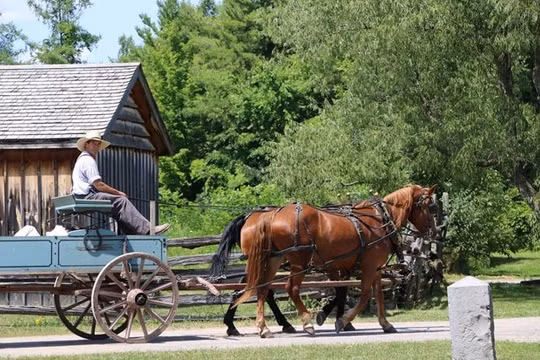 Upper Canada - Ngôi làng cổ 150 năm vẫn giữ nguyên nếp sống sinh hoạt