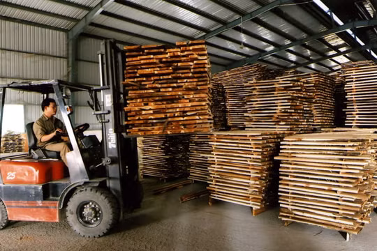 Ngành gỗ cần đảm bảo minh bạch xuất xứ hàng hóa