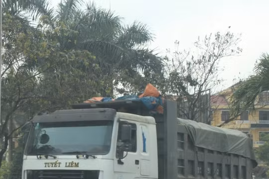 Thừa Thiên – Huế: Khởi tố doanh nghiệp Tuyết Liêm, điều tra các DN liên quan