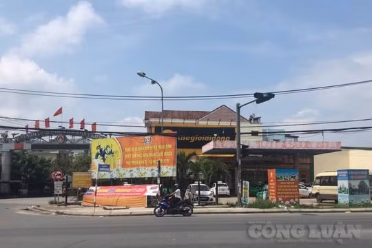 Quảng Nam: Chính quyền “hành” doanh nghiệp bằng những quyết định trái pháp luật