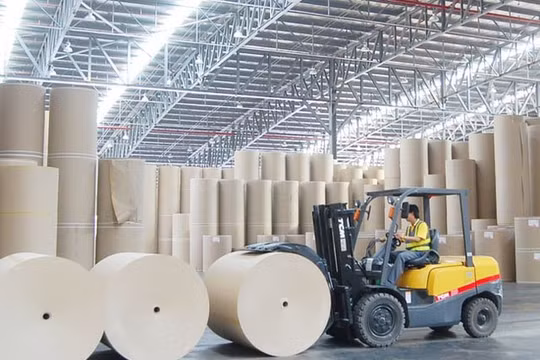 Ngành giấy và chế biến gỗ vẫn còn nghịch lý