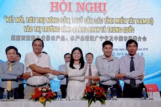 Kết nối tiêu thụ nông sản, thủy sản Tây Nam Bộ vào thị trường tỉnh Quảng Ninh và Trung Quốc