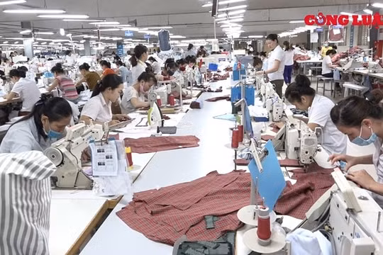 Tăng lương hưu, trợ cấp BHXH và trợ cấp hàng tháng cho 8 đối tượng từ 1/7