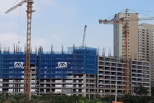 Xuân Mai Corp bị phạt hơn nửa tỷ đồng vì hàng loạt vi phạm về chứng khoán